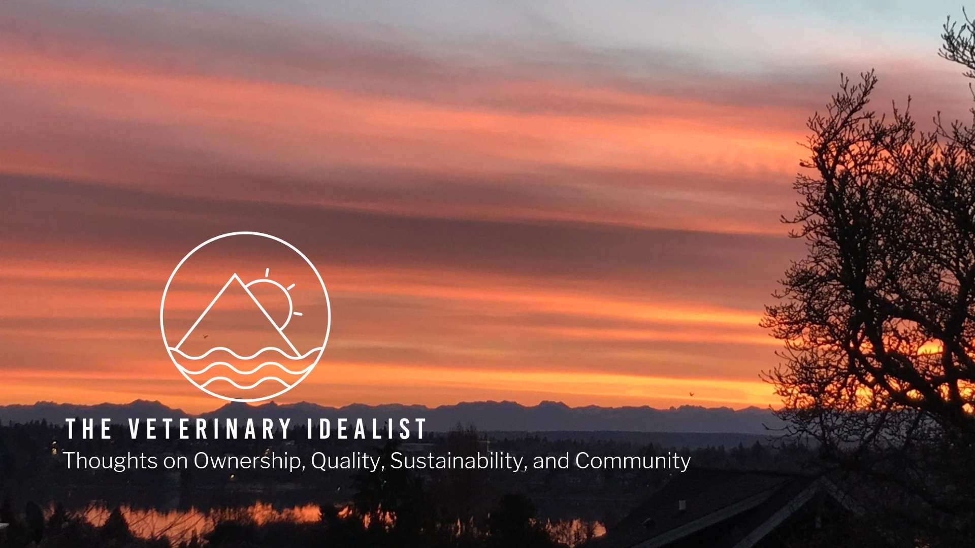The Veterinary Idealist — Thoughts on Ownership, Quality, Sustainability, and Community